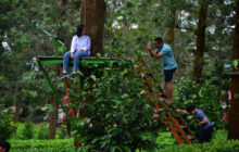 Wisata Alam Terbuka Agro Wisata Gunung Mas, Tetap Lakukan Prokes 3 M dan 1 T