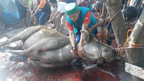 Warga Cibeureum dan Babakanloa Sembelih Puluhan Hewan Kurban