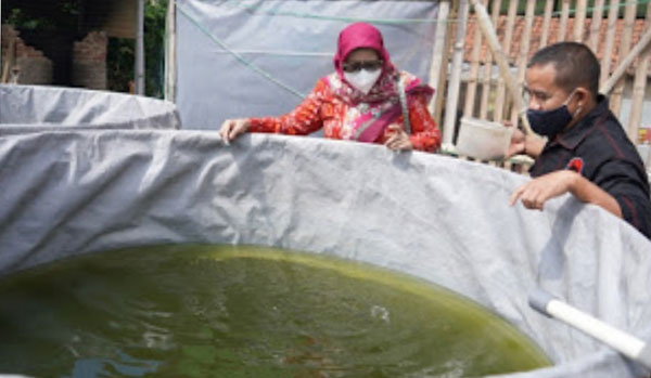 DPRD Jabar, Akan Kawal Bantuan Hibah Budidaya Kelompok Ikan Lele