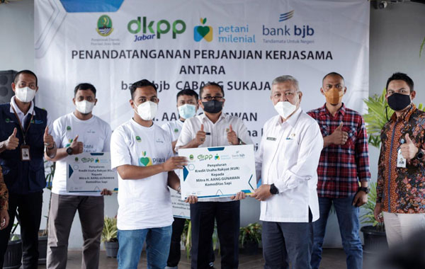 Bank bjb Sepakati PKS, Berikan KUR Kepada Kelompok Ternak