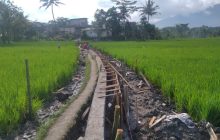 Kelompok Tani Banjarsari Dapat P3-TGAI, Terima Kasih kepada Pemerintah