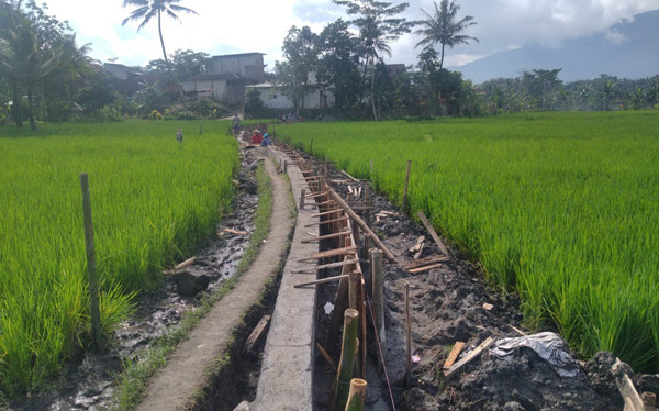 Kelompok Tani Banjarsari Dapat P3-TGAI, Terima Kasih kepada Pemerintah
