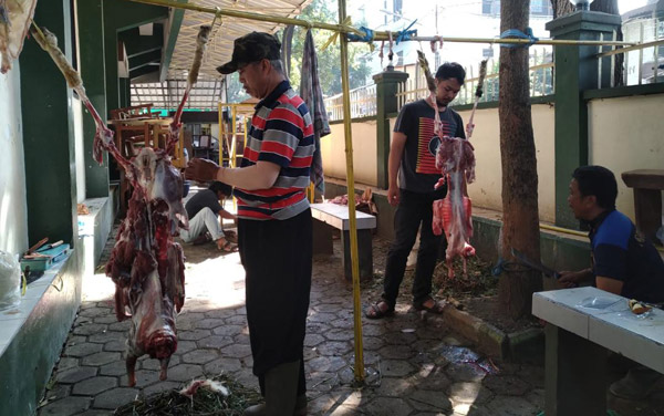 DKPP Musnahkan Lebih dari 369 Kg Jeroan Sapi dan Domba Kurban