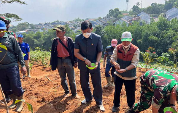 Anggota DPRD Sandi, Dorong Pemkot Permudah Akses Bibit Tanaman Gratis