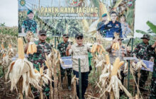 Panen Raya Jagung, Bupati Ciamis Ajak Masyarakat Manfaatkan Lahan Terlantar