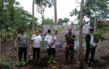 TNI-POLRI Sinergitas Pemerintah Kecamatan, Pemdes,dan Perhutani, Gelar Gerakan Tanam 10 Juta Bibit Pohon