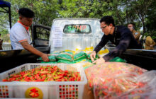 Gerakan Pangan Murah, Cabai Rawit  Rp70 Ribu per Kilogram