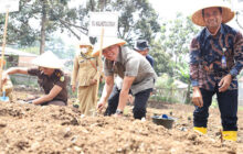 Kendalikan Inflasi, Pj. Walikota Cimahi Laksanakan Gerakan Tanam Pangan
