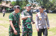 Pangdam III/Siliwangi dan Kasad Lakukan Panen Raya Padi di Subang