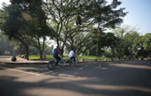 Friday Car Free: Balai Kota Lebih Asri dan Sejuk