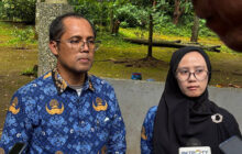 Panleukopenia Renggut Dua Anak Harimau, Duka Mendalam Selimuti Kebun Binatang Bandung