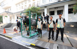 Post Mortem Hanya Temui Kasus Minor, Bukti Pemeriksaan Hewan Kurban Efektif