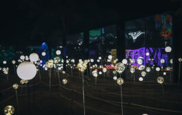 Nikmati Sensasi Taman Bercahaya di Garden Glow, Wisata Malam di Kota Bandung