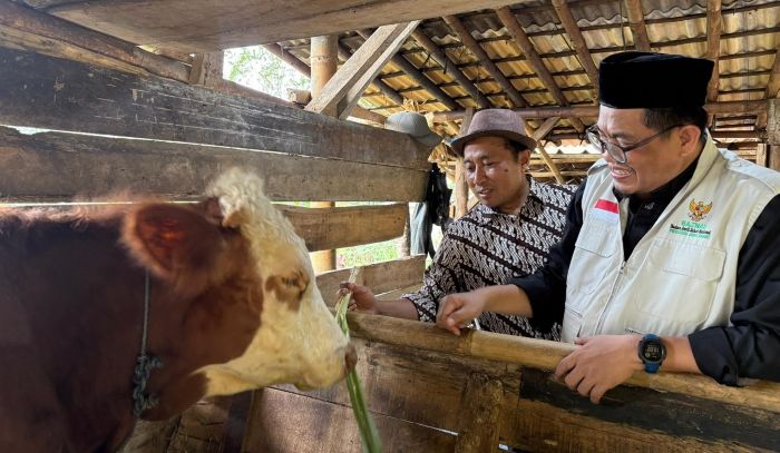 Dari Layar Ponsel ke Warga Tasikmalaya, Pengguna QuranBest Ikut Hadirkan Kebahagiaan