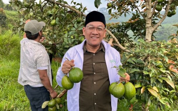 Lima Tahun Menanti, Petani Batulawang Akhirnya Rasakan Hasil Panen Alpukat
