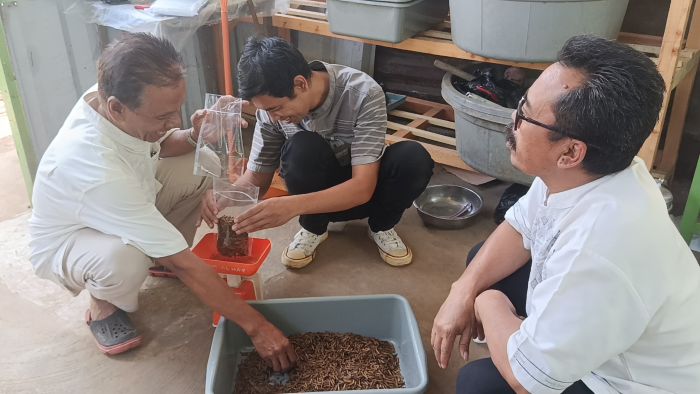USB YPKP Libatkan Dosen dan Mahasiswa, Budidaya Maggot Jadi Solusi Sampah Organik di Padasuka